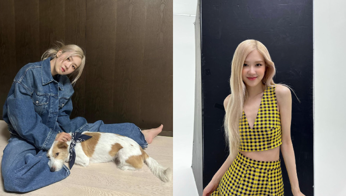 七仙羽2024龍年十二生肖運勢